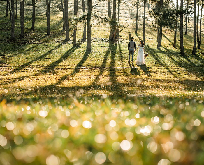 ブライダルの写真