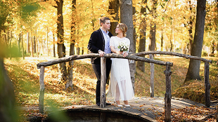 シーズン限定プラン